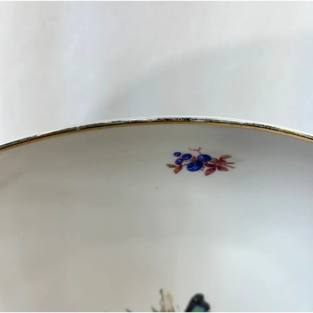 Rosenthal Serving Plate Platter Porcelain 13